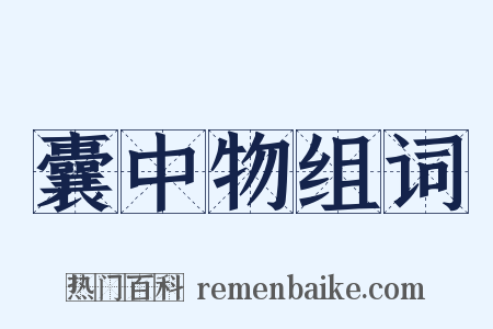 囊中物组词是什么意思的图片